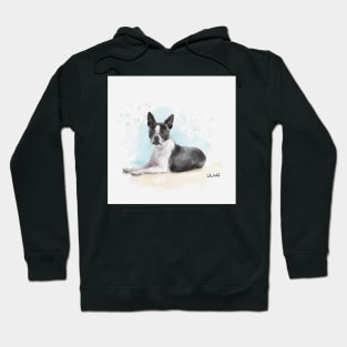 Watercolor Sketch of a Black and White Boston Terrier Lying Down Hoodie